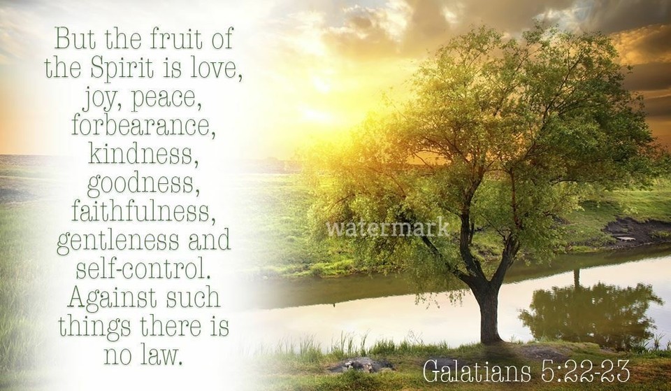 &quot;BUT THE FRUIT OF THE SPIRIT IS LOVE, JOY, PEACE,...&quot; QUOTE PUBLICITY PHOTO - $9.89
