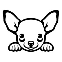 Chihuahua Peeking Cute Dog V1 (size: 5 inch) Vinyl Decal Window Sticker - $8.99