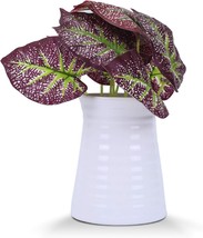 Vanenjoy 6 Inch Small White Ceramic Tabletop Centerpiece Vase Flower Pot With - £32.95 GBP
