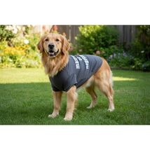 Grayson Pup Negotiation Short Sleeve Dog Hoodie Extra Large Gray - $6.82