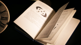 Item image 3