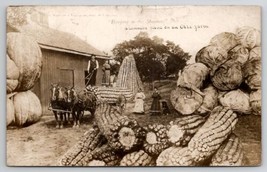 RPPC Exaggerated Corn Cabbage Pumpkin Common Oklahoma Farm c1910 Postcard J27 - $12.95