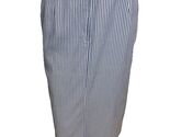 NWOT Vtg. Appleseed Seersucker Striped Skirt Blue/White Size 14 - $24.69