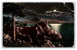 Lone Cypress Night View Midway Point 17 Mile Drive Monterey CA DB Postcard O19 - £3.06 GBP