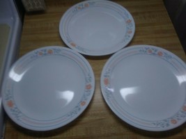 Corelle Apricot Grove dinner plates 3ct. - $12.30