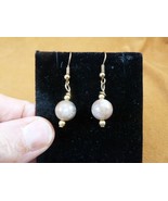 DP1-12g REAL DINOSAUR POOP 10mm bead dangle EARRINGS Utah ancient Dino C... - $16.99