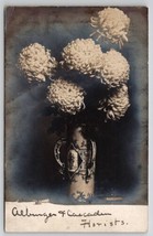 Manayunk PA Chrysanthemum Flowers Antique Vase Alburger &amp; Cascaden Postcard Q29 - £15.69 GBP