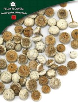 Gu Jing Cao, unsulfured Eriocaulon buergerianum flower - £26.89 GBP+