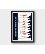 Dinosaurs to Birds Evolution Poster Wall Decor - £11.87 GBP+