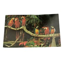 Parrot Jungle Near Miami Florida Vintage Unposted Postcard Has Wear  - $2.00