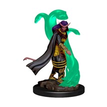 D&D Icons of the Realms Premium Figures W01 Tiefling Female Sorcerer - $12.10