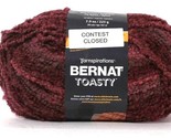 1 Ct Yarnspirations 7.9oz Bernat Toasty 25006 Mauve 5 Bulky Acrylic Nylo... - $18.99