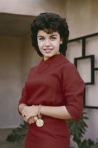Annette Funicello Smiling Portrait 1960&#39;s in Red Dress 18x24 Poster - $23.99