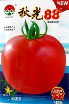 1 Original Packs, 2g Seeds/Pack, Delicious Big Red Tomato Vegetable Seeds - £23.12 GBP