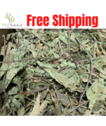 Organic Cannabaceae Humulus lupulus حشيشة الدينار الجنجل الشائع عشبة الد... - $17.86+