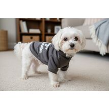 Grayson Pup Negotiation Short Sleeve Dog Hoodie Extra Small Gray - $6.82