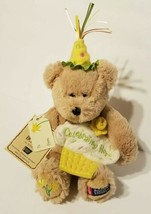 Boyds Bear American Cancer Society 2010 Birthday Celebrate Hope Spring NWT - £11.78 GBP