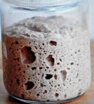 San Francisco Sourdough Live Yeast Purely Organic Wharf Fresh Batch Monthly - £6.04 GBP