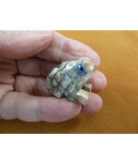 (y-fro-27) gray baby FROG carving stone gemstone SOAPSTONE love little f... - $8.59
