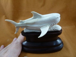 Shark-13 swimming Great White Shark display of shed antler figurine Bali carving - £56.78 GBP
