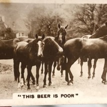 Horses Drinking Tobacco Card Real Photograph Vintage Original - £10.21 GBP