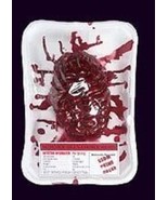 Bloody Brain in Meat Tray Haunted House Prop Butcher Shop Creepy Fridge ... - $257.86 MXN