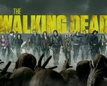 The Walking Dead - Complete TV Series in Blu-ray (See Description/USB) - $59.95