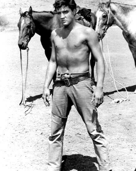 Elvis Presley beefcake bare chested pose by horses from Flaming Star 8x10 photo