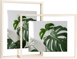 11&quot;x14&quot; Floating Frames Set of 2, Double Glass Picture Frame, (Beige) - £12.43 GBP