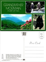 North Carolina Grandfather Mountain Blue Ridge Eagles Black Bear VTG Postcard - £7.37 GBP