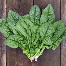 Spinach Bloomsdale 100 Vegetable Seeds - £6.35 GBP