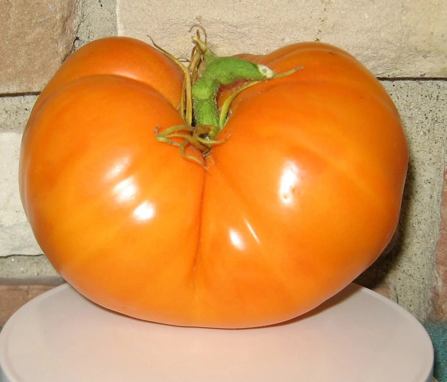 10+ Amana Orange Tomato Seeds ------- Heirloom -- Organic -- NON GMO ---... - $2.93