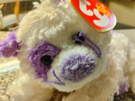 Ty Beanie Babies Violetta The Violet And White Soft Plushie Kitty Cat - $19.95