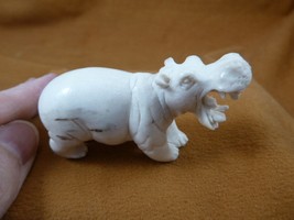 (hippo-w19) little Hippo of shed ANTLER figurine Bali detailed love wild... - $150.52