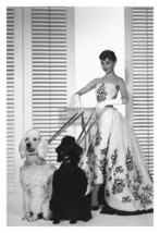 Audrey Hepburn Actress With Dogs Publicity 1954 Photo 4X6 Reprint - £6.25 GBP