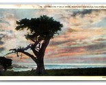 Lone Cypress Midway Point 17 Mile Drive Monterey CA WB Postcard C20 - $2.32