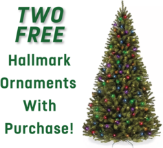 6ft Snow Flocked Christmas Tree w/ Pine Cones, 300 Clear Lights, Hinged Spruce - $150.32