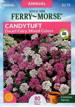 GIB Candytuft Dwarf Fairy Mixed Colors Flower Seeds Ferry Morse  - $9.00