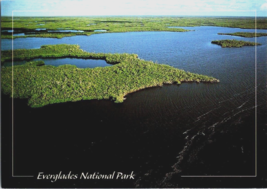 Postcard Whitewater Bay Everglades National Park Florida 6 x 4 Inx. - £3.89 GBP