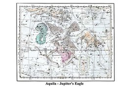 Aquila - Jupiter&#39;s Eagle by Alexander Jamieson - Art Print - £17.57 GBP+