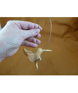 (TNE-BIR-HU-44-C) Hummingbird bird swing TAGUA NUT figurine carving humm... - €17,93 EUR