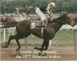 1977 - SEATTLE SLEW winning the Belmont Stakes - Color Close Up - 10&quot; x 8&quot; - £15.80 GBP