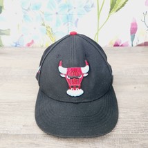 Chicago Bulls BMO Harris Snapback Hat Artist series by Ariel Sinha    2021/22 - £18.38 GBP