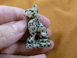 (Y-CAT-SIS-564) spotted EGYPTIAN SPHINX CAT gemstone gem carving stone f... - $14.01