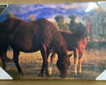 Denver Bryan Mare and Foal Canvas Print By Big Sky Carvers Demdaco Art - $22.35