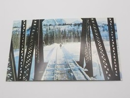 Vintage Postcard Moose On Alaska Railroad Honolulu Creek - $4.94