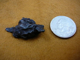(x262-441) 15 g Campo del Cielo meteorite 1576 octahedrite fragment spec... - £27.03 GBP
