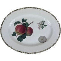 Queens Royal Horticultural Society Hooker&#39;s Fruit Square Oval Platter 14&quot; - £14.94 GBP