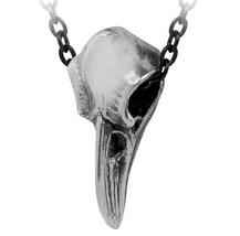 Rabenschadel Klein Raven Skull Goth Pendant Magick Odin Crow P752 Alchem... - $20.95