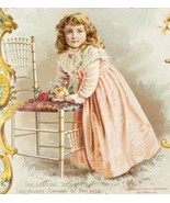 1894 Victorian Advertising Calendar Die Cut Metropolitan Life Insurance Co. - $1,257.19 MXN